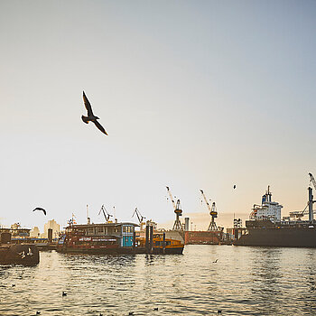 Blick auf Schiffe und Kräne im Hamburger Hafen bei Dämmerung